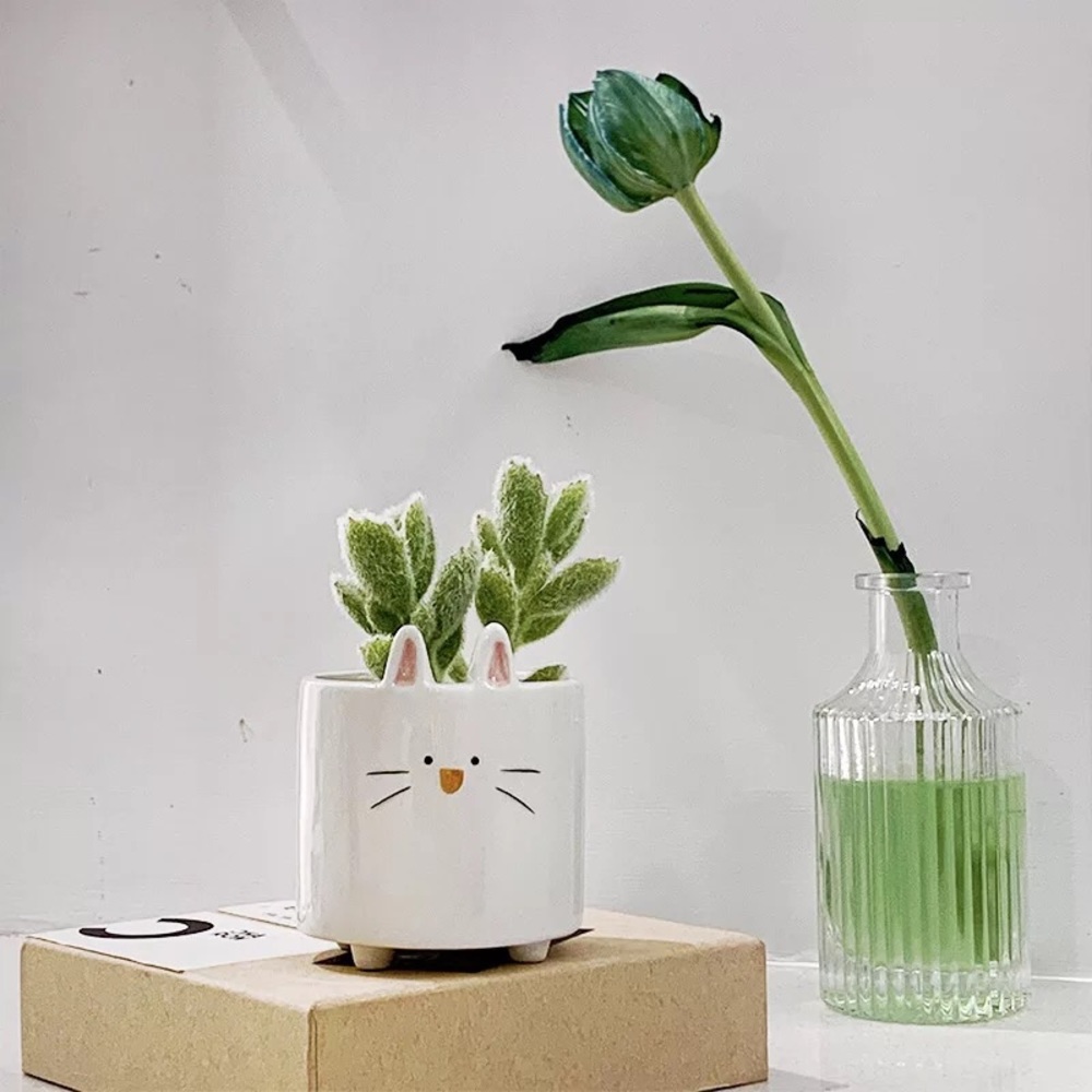 Succulent pot plant rabbit shiba ceramic garden home decor cute animal cartoon - Picture 4 of 9